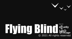 Flying Blind Cover Art